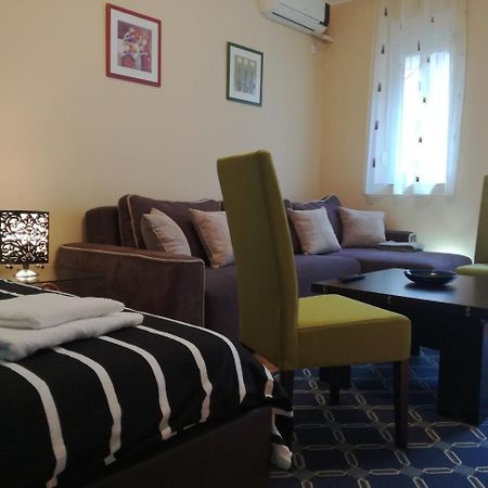 Apartament By The Park Free Parking Belgrad Zewnętrze zdjęcie
