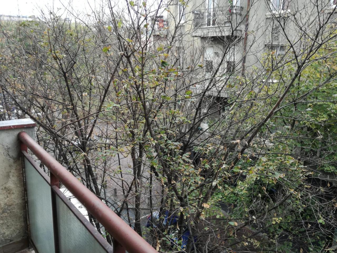 Apartament By The Park Free Parking Belgrad Zewnętrze zdjęcie