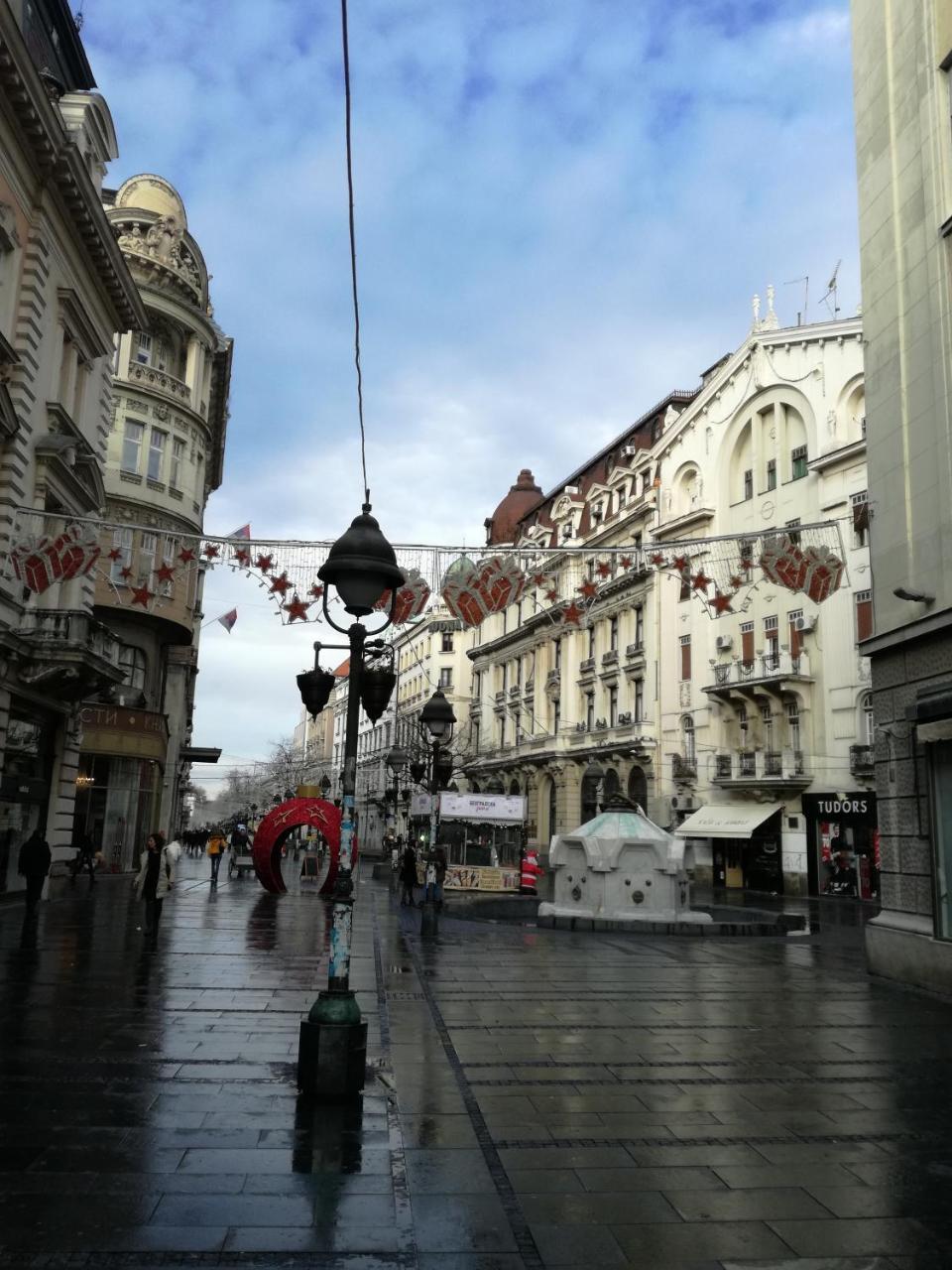 Apartament By The Park Free Parking Belgrad Zewnętrze zdjęcie